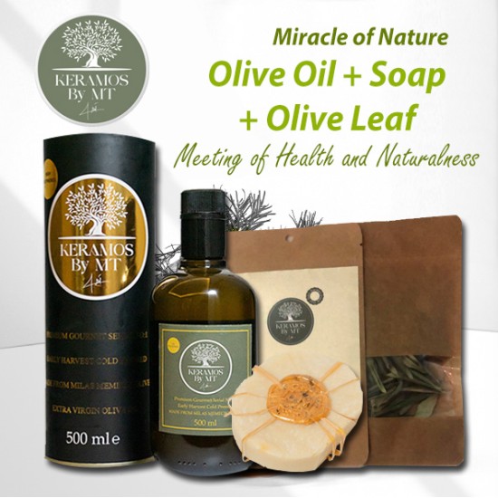 Olive Oil + Soap + Olive Leaf | Health Secret From Ancient Times